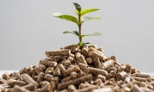 ¿Qué es la energía de la biomasa? Características y ventajas principales