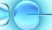 Reino Unido aprueba la reproducción asistida con el ADN de tres padres