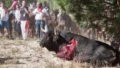 España celebra 16.000 fiestas al año en las que se maltratan animales