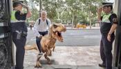 El coche oficial ha muerto, ¡viva el dinosaurio!