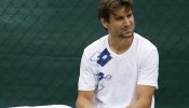 Robredo sustituirá al lesionado Ferrer en la Copa Davis contra Rusia
