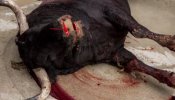 El partido animalista PACMA reclama un San Fermín sin maltrato