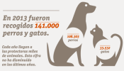 En 2014 se abandonaron a más de 140.000 perros y gatos en España