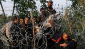 Un eurodiputado propone colocar cabezas de cerdo en las fronteras para "espantar" a los inmigrantes