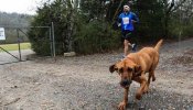 Ludivine, el perro que se coló en una media maratón y quedó en séptimo lugar