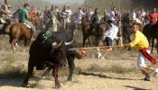 La segunda equipación del Tordesillas lucirá motivos en apoyo al Toro de la Vega