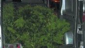 Hallan 50 kg de marihuana en una ambulancia francesa en Soto del Real