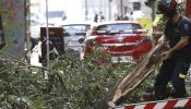 Madrid indemnizará con 21.198 euros a una mujer por la caída de la rama de un árbol en la etapa de Botella