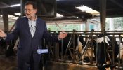 Rajoy espanta las vacas flacas