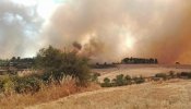 Estabilizado el incendio de Vallbona de les Monges (Lleida), que ha quemado 790 hectáreas