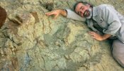 Descubren en Bolivia la huella de un dinosaurio carnívoro tan grande como el tiranosaurio rex