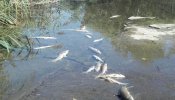 El río Henares, contaminado con amonio en la zona cercana al incendio de Chiloeches