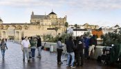 'Juego de Tronos' buscará extras para rodaje en Cáceres, Sevilla y Córdoba