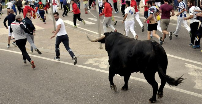 Tordesillas recupera el nombre de Toro de la Vega, que seguirá celebrándose sin muerte