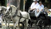 Así se explota a los caballos para los turistas en Sevilla: jornadas de trece horas bajo 45 grados de temperatura