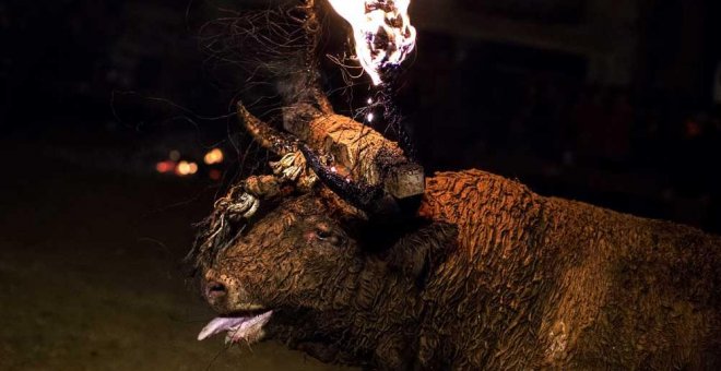 Toro Júbilo, otro espectáculo de maltrato amnistiado por la "tradición"