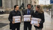 Familias numerosas presentan en el Congreso más de 182.000 firmas para que rebaje el IVA de los pañales al 4%