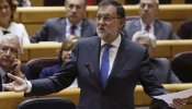 Rajoy regresa al Senado tras año y medio e insiste en su receta económica para "crear más empleo"