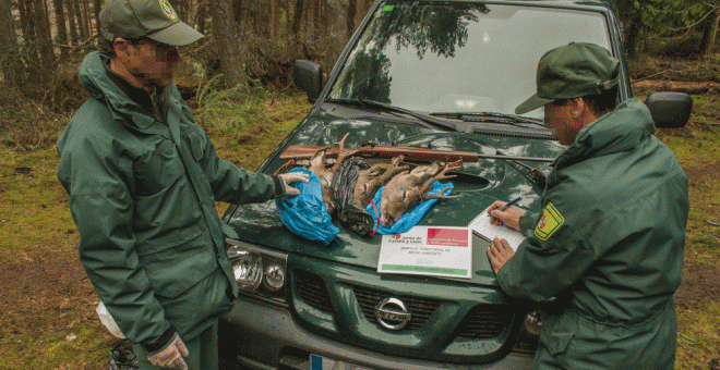 Palizas, amenazas, intentos de asesinato... el riesgo de ser agente forestal