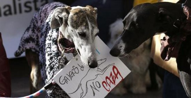 La prohibición de cortar el rabo a los perros tendrá que esperar por culpa del PP