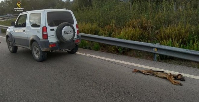 Detenido tras matar a un cachorro al arrastrarlo atado a un vehículo en Cádiz