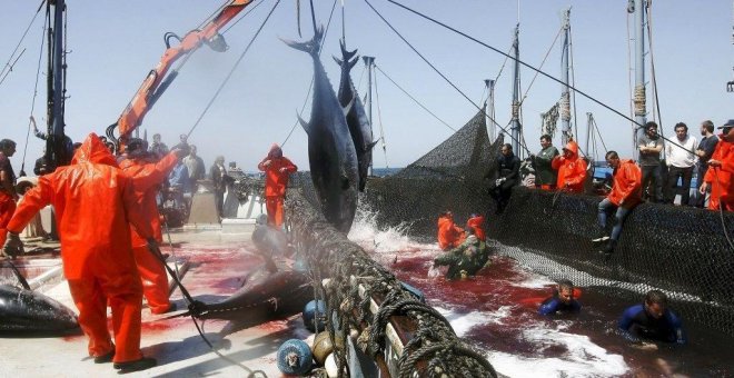 El tribunal de la UE cuestiona el acuerdo de pesca con Marruecos por aplicarse al Sáhara Occidental