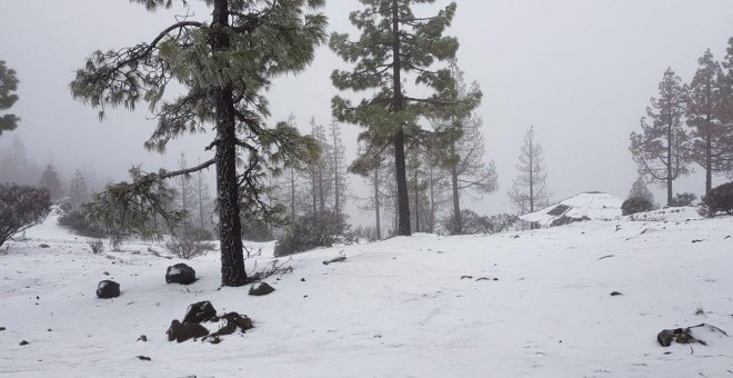 Las intensas nevadas tiñen Canarias de blanco: las imágenes