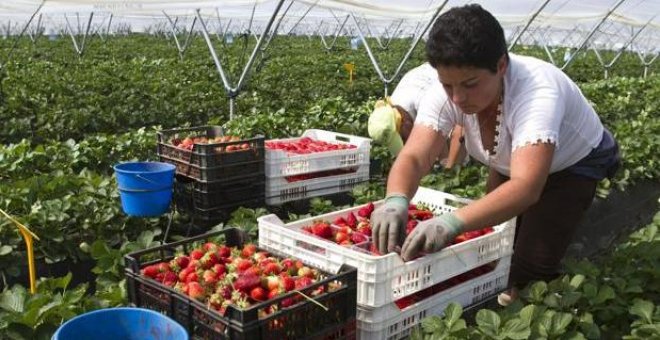 Sombras y silencio sobre la situación de las mujeres trabajadoras de la fresa en Huelva