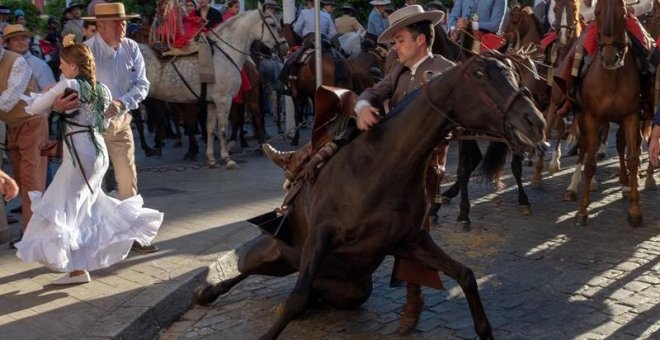 Activistas de IU denuncian que los caballos de los carruajes turísticos de Sevilla están "a pleno sol" y caen "exhaustos"