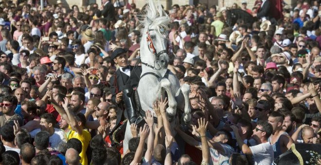 Pacma pide al Govern prohibir los jaleos menorquines por causar "sufrimiento a los caballos"