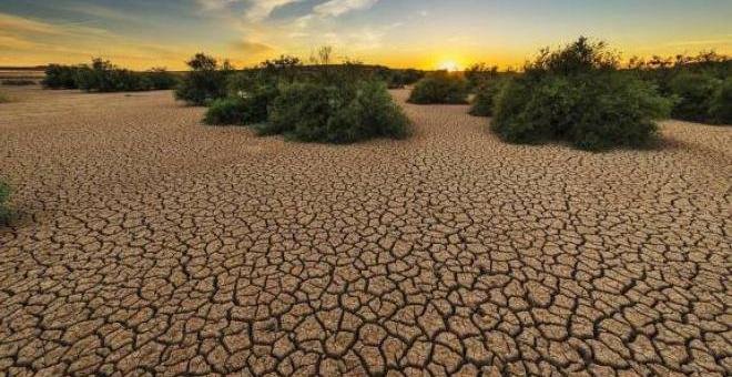 El 75% del territorio español está en "peligro" de desertificación