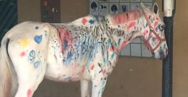 Polémica por una "actividad infantil" que consistía en pintar un caballo de colores