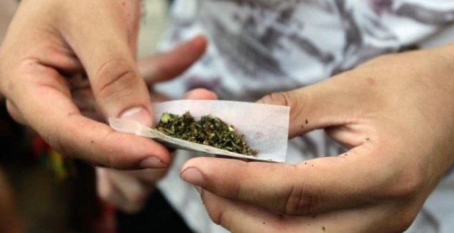 La OMS solicitará a la ONU la reclasificación del cannabis en las listas de sustancias prohibidas