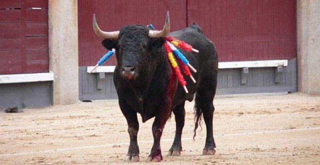 El Tribunal Supremo rechaza la consulta sobre la tauromaquia que quería realizar el Ayuntamiento de Ciempozuelos