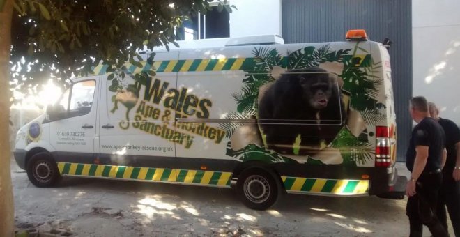 Animalistas rescatan de una "colección" privada a cinco macacos en condiciones deplorables