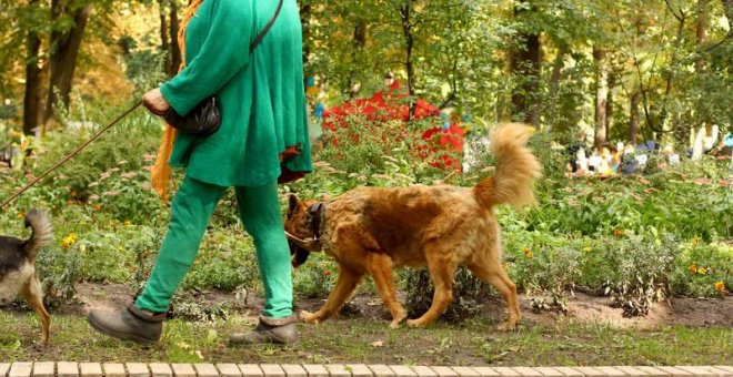 4.500 presos participan en una terapia con perros para mejorar la conducta