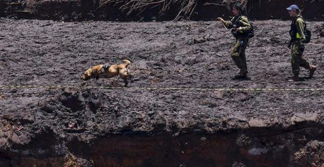 Ocho empleados de la minera Vale, detenidos por la rotura de la presa en Brasil que causó 160 muertos