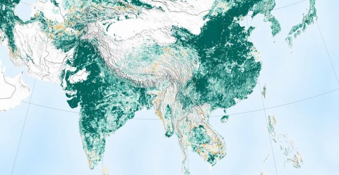 La tierra es ahora más verde que hace 20 años