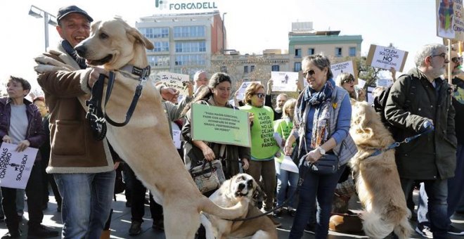 Unas 500 personas protestan en Barcelona por falta de espacios para perros