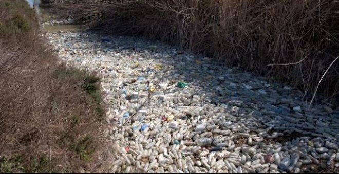 Miles de toneladas de plástico se acumulan en el río Segura