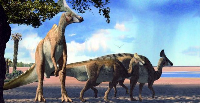 Así evolucionaron los dientes y las crestas de los dinosaurios pico de pato