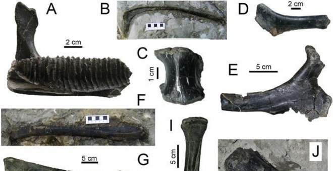 Descubren en Lleida el yacimiento de dinosaurios más moderno de Europa