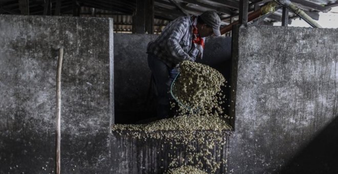 Un café que no haga sangrar a la Tierra