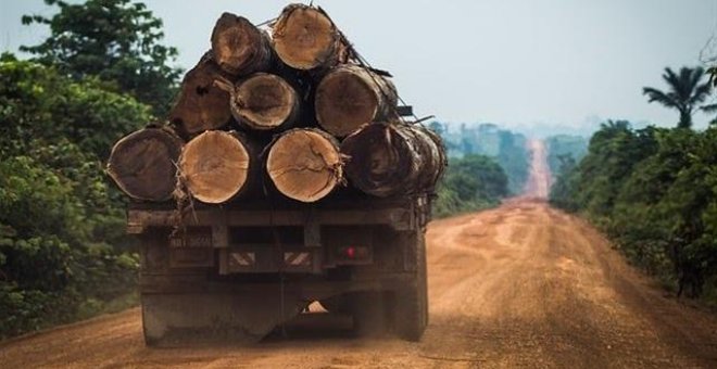 La deforestación en la Amazonia de Brasil destruye 5.042 kilómetros cuadrados en el último año