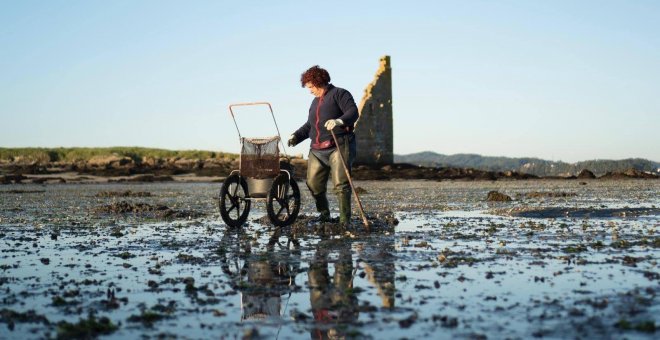 El mar, para ellos: solo el 8% de las afiliaciones en pesca marítima en Galicia son de mujeres