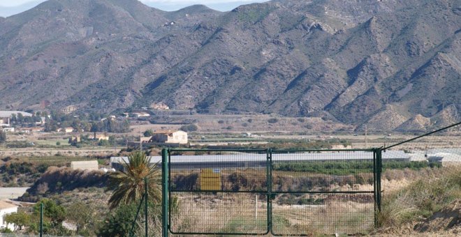 Una plantación de cannabis para eliminar la contaminación nuclear de Palomares