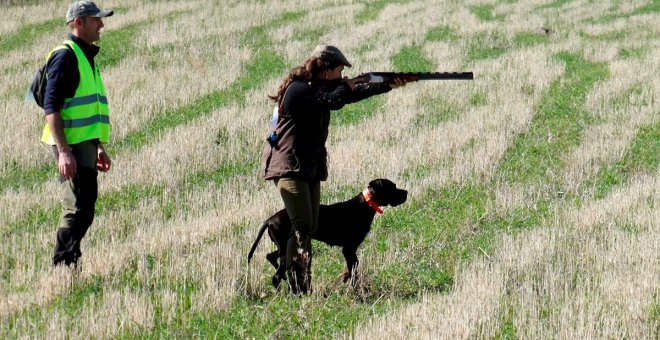 La enmienda para excluir a los perros de caza de la Ley de Protección animal sale adelante con el respaldo de PSOE, PP y Vox