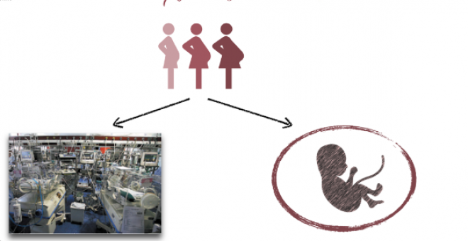 La Fundación La Caixa impulsa el primer proyecto europeo de placenta artificial