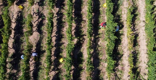 De Mercadona a Freixenet, así se reparten las grandes empresas el grueso de las ayudas agrarias europeas