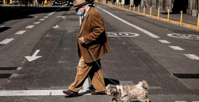 La ley para que los animales dejen de ser "cosas" vuelve al Congreso